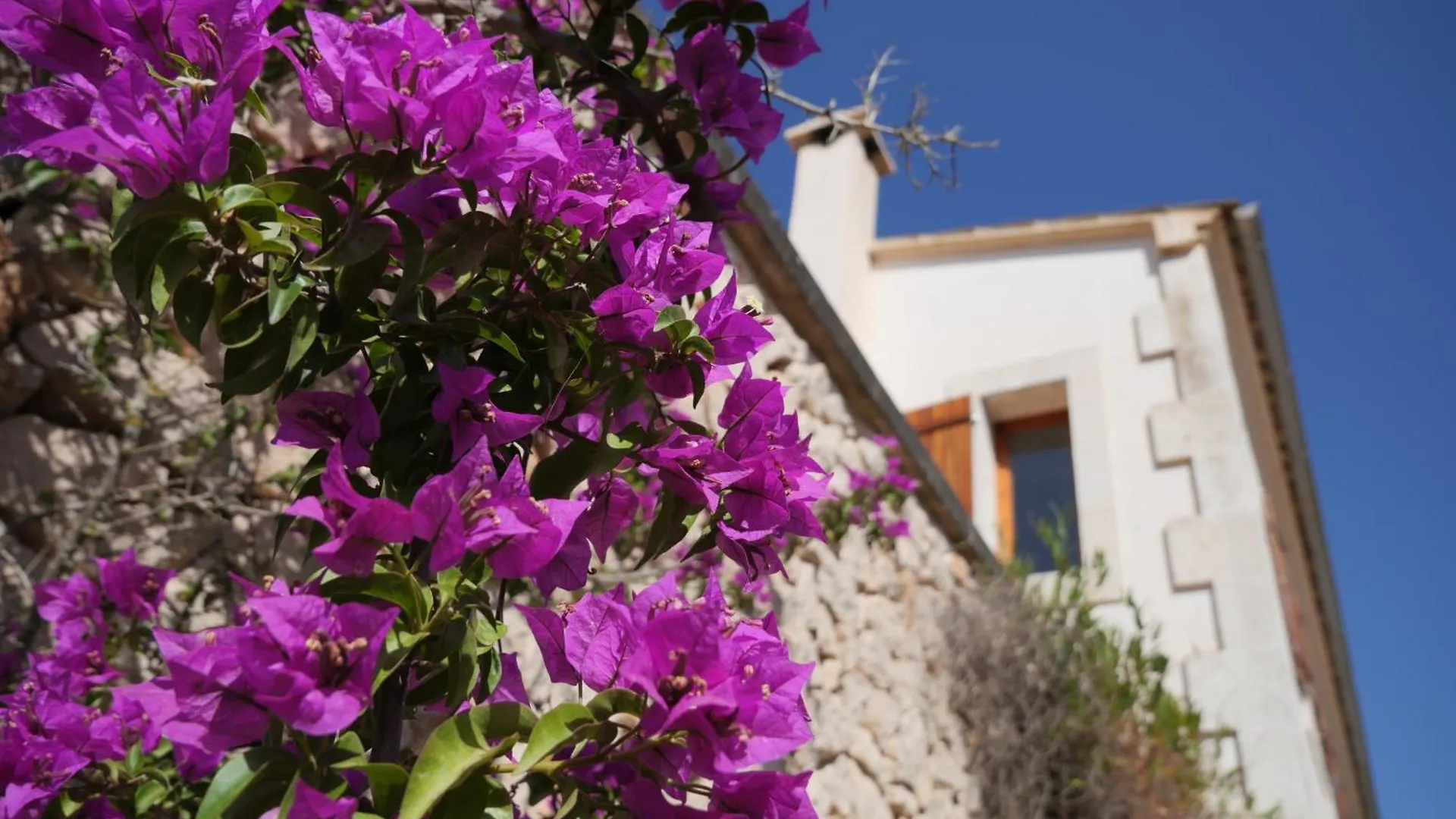 Finca La Querida Campos  Ισπανία